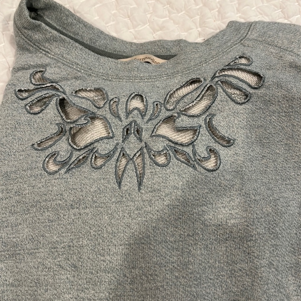 Soft surroundings 2x heavy weight sweatshirt